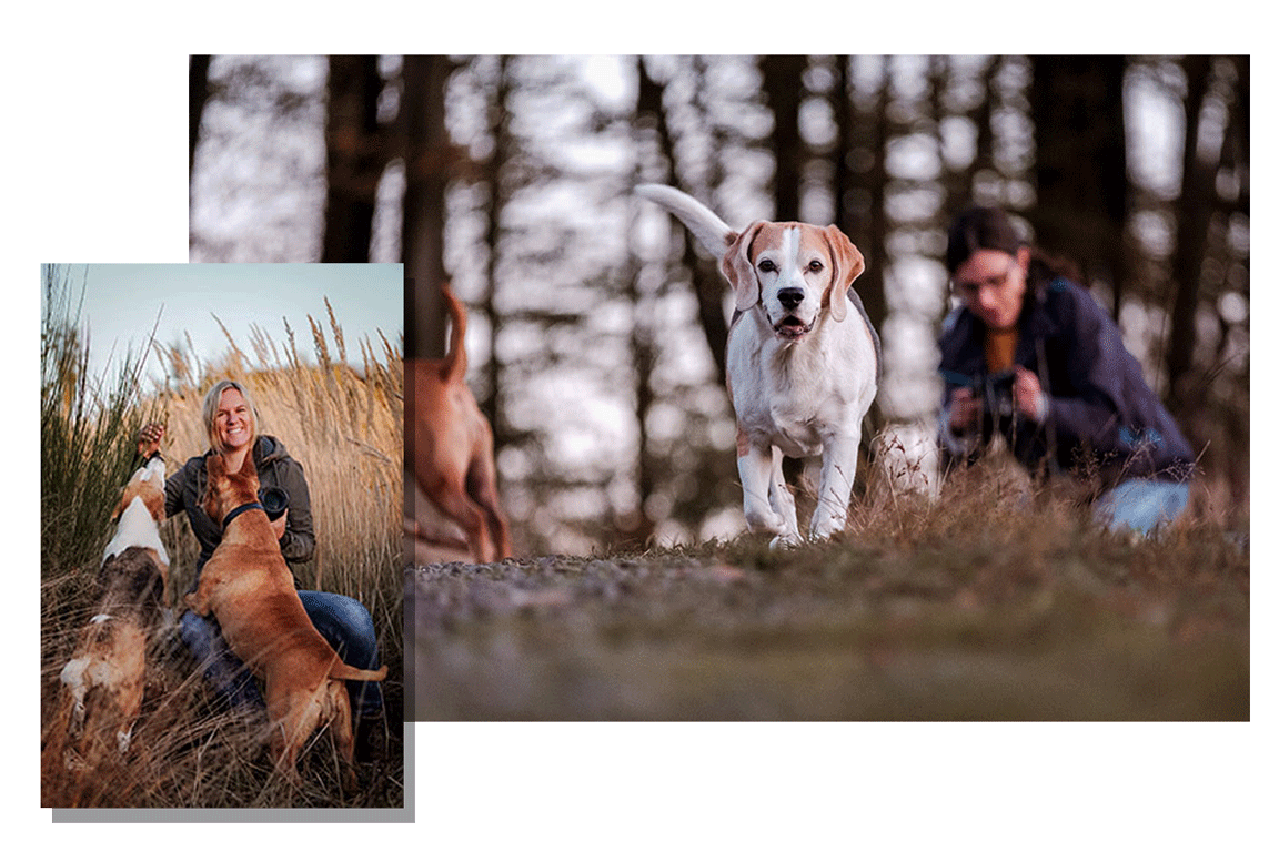 Hundefotografie Workshop in NRW