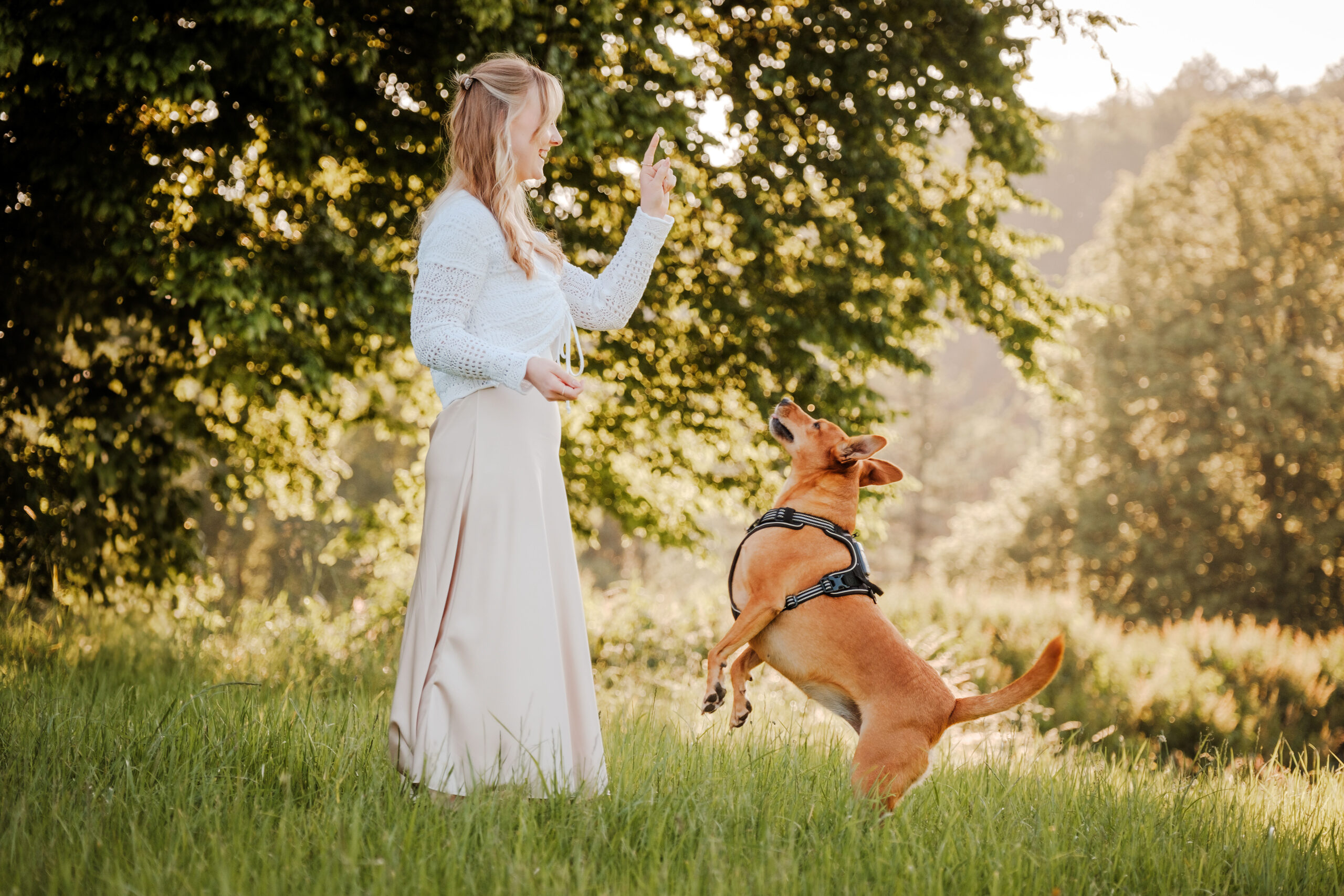 Besondere Momente zwischen Hund und Mensch